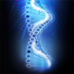 Learning from Nature!